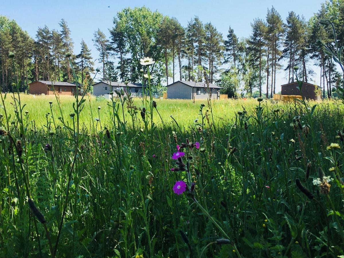 Hollicarrs - Stag Lodge Йорк Экстерьер фото