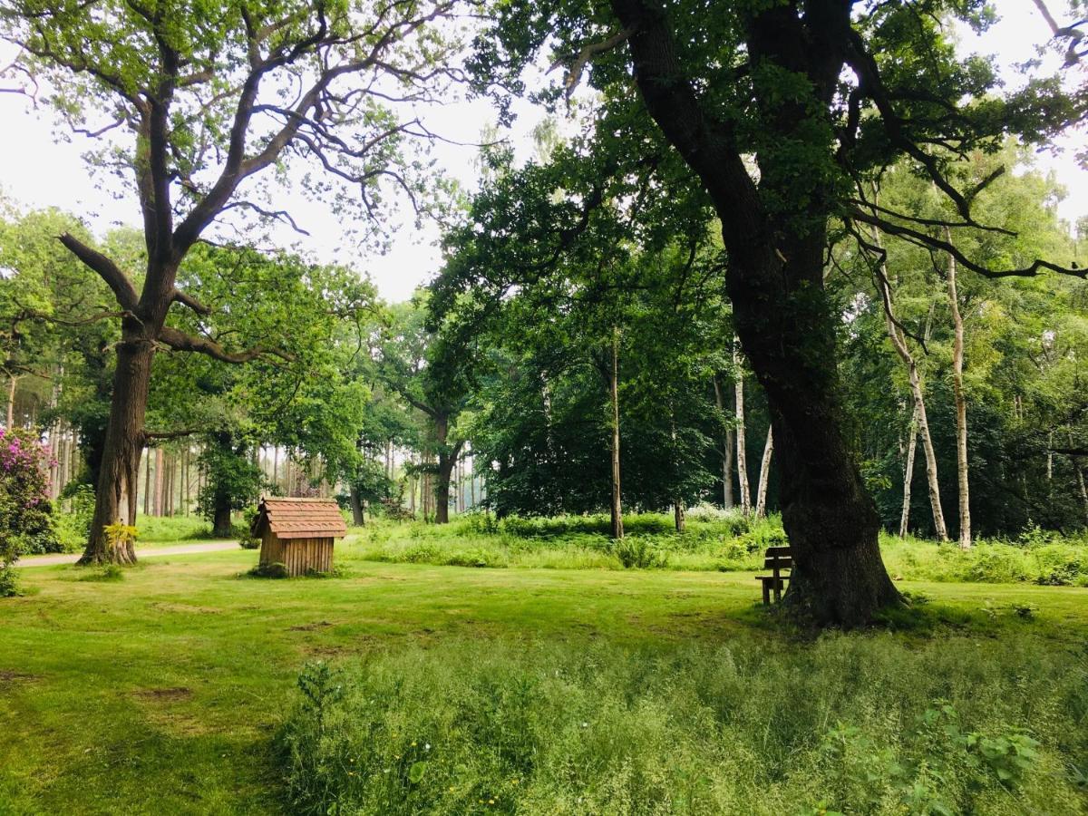 Hollicarrs - Stag Lodge Йорк Экстерьер фото