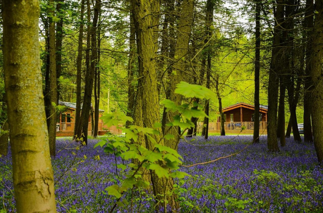 Hollicarrs - Stag Lodge Йорк Экстерьер фото